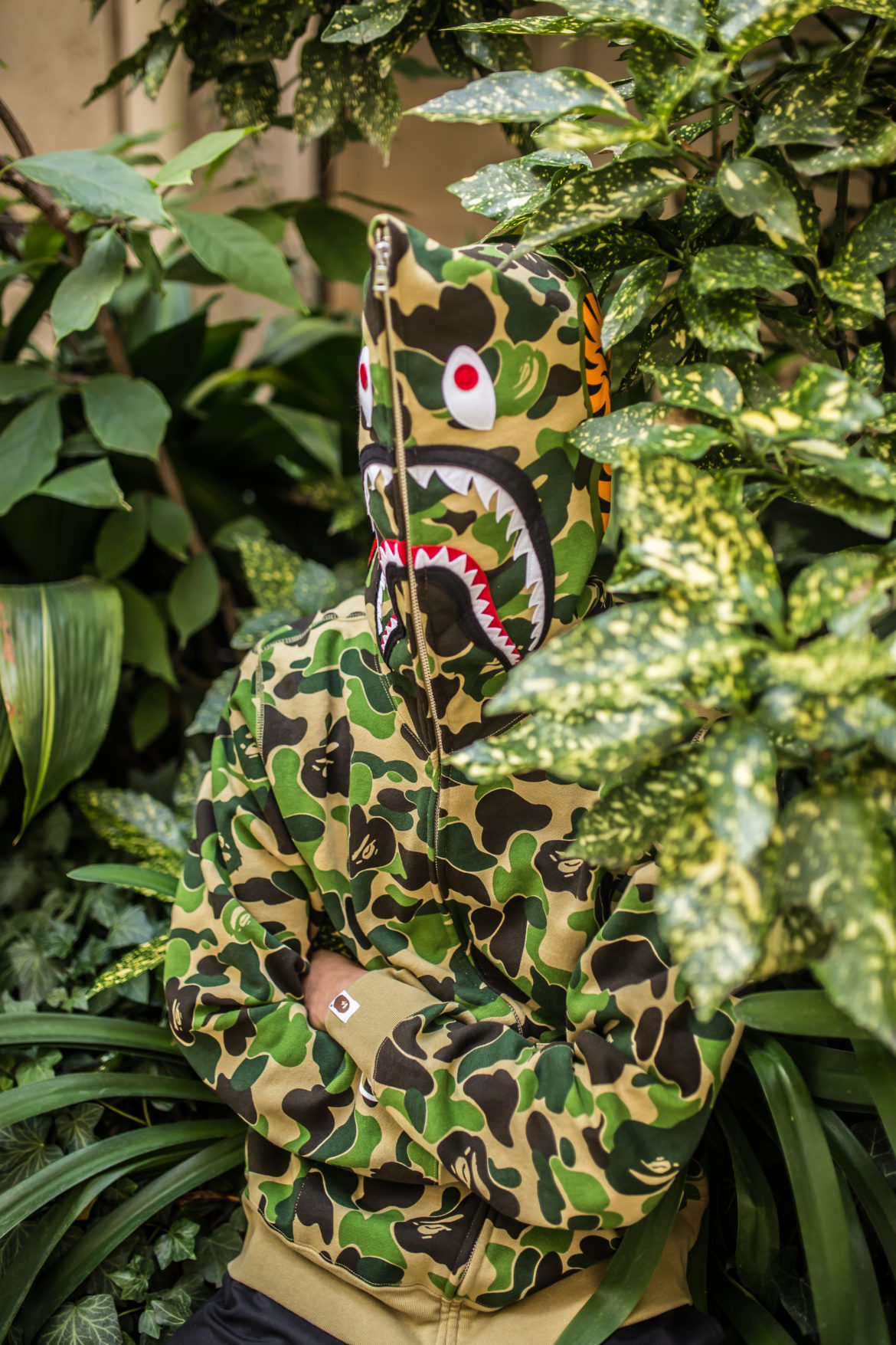 Bape Shark 1