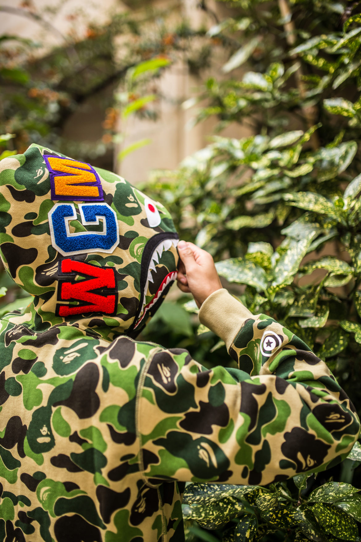 Bape Shark 2
