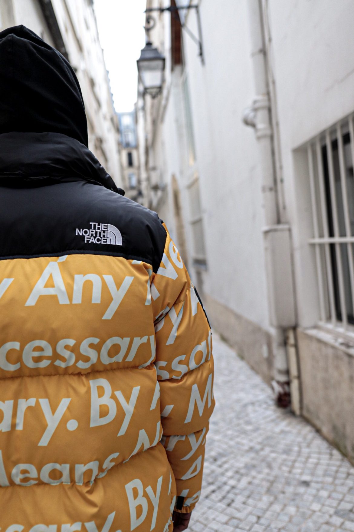 IMG_8335 un mannequin porte du supreme the north face by afterdrop