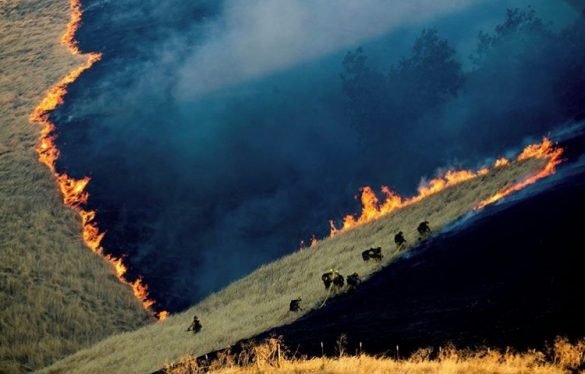 88132339_902346996864278_1474609577210150912_n