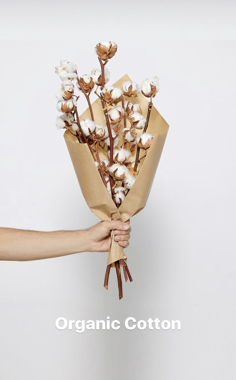 Patou-QR-code Patou-QR-code