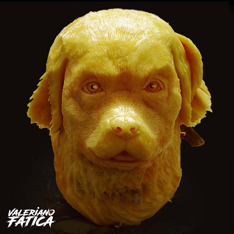 Valeriano-Fatica-chien