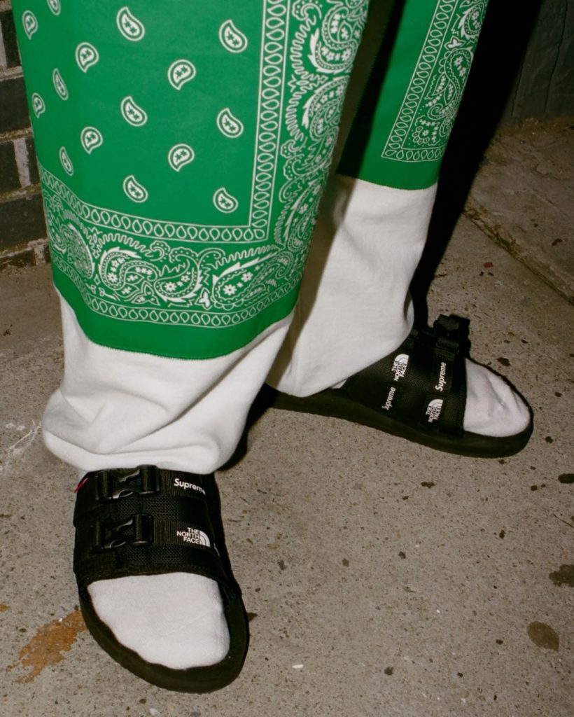 Supreme-the-north-face-SS22