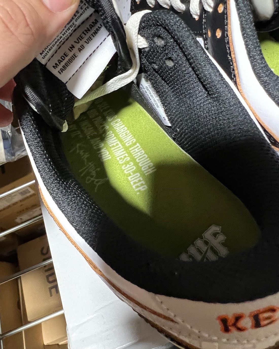 Nike-Huf-Dunk-SB-pic-7