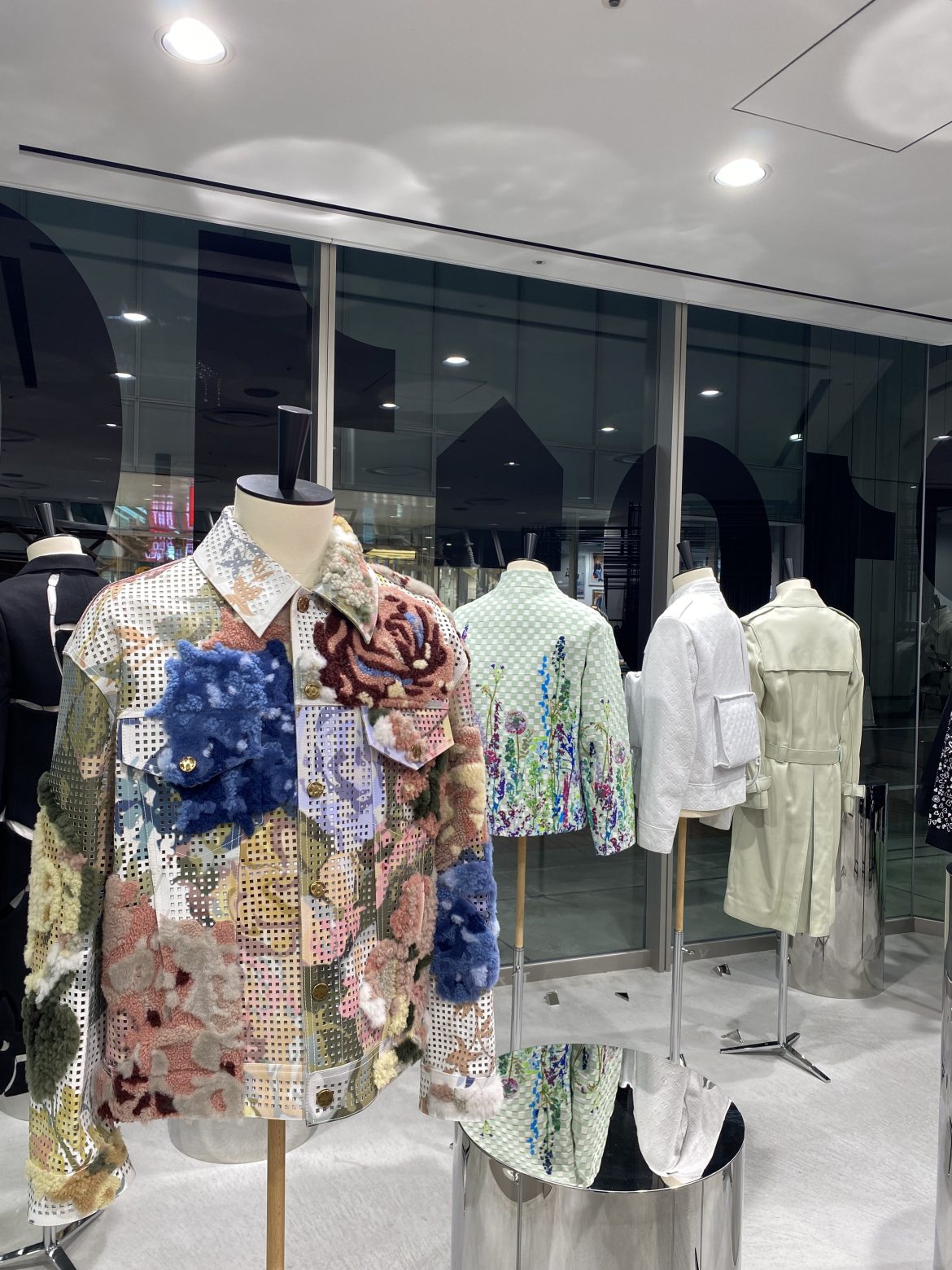 DVSM-LV-pic-2 DVSM-LV-pic-2