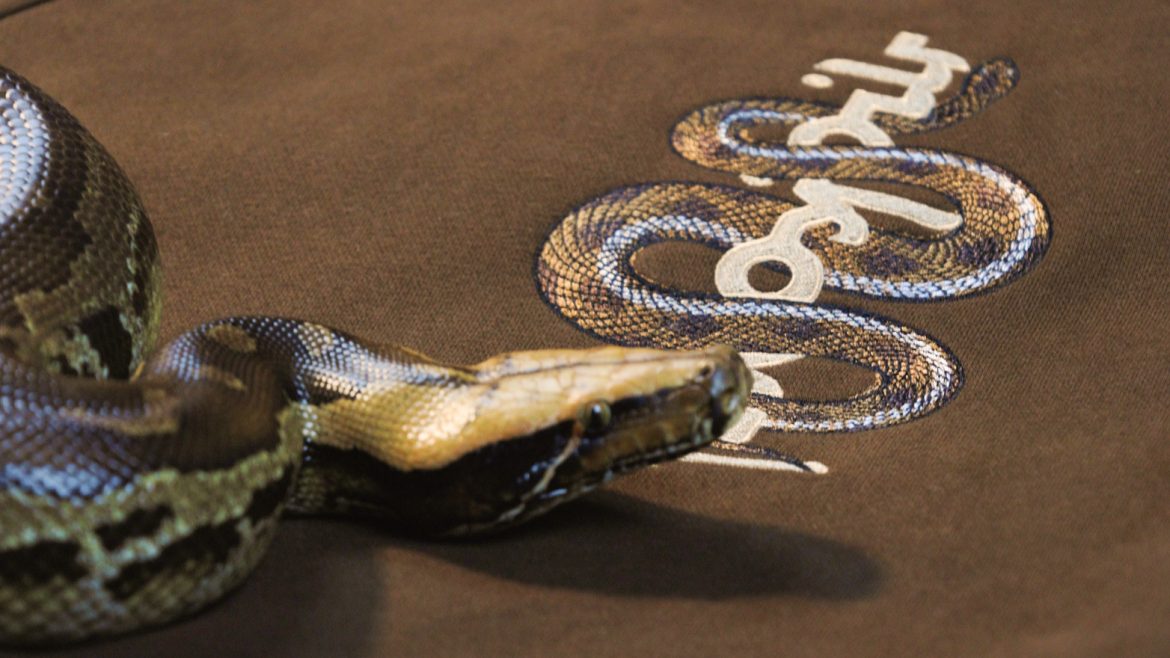 Mokovel-Cold-Blood-Collection