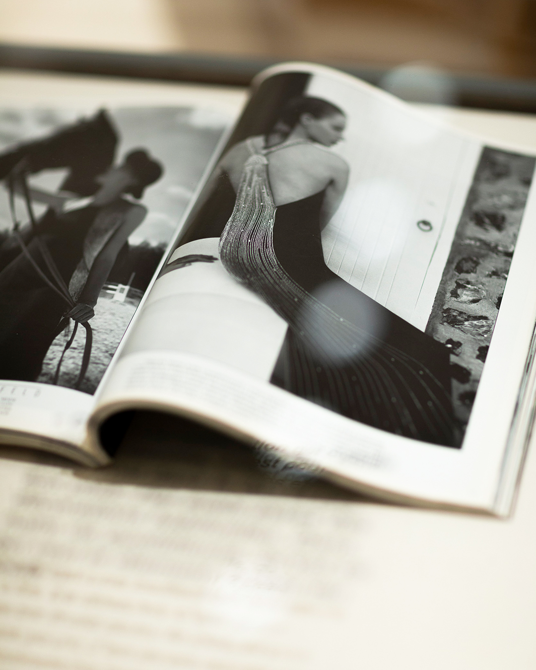 karl lagerfeld @chloe